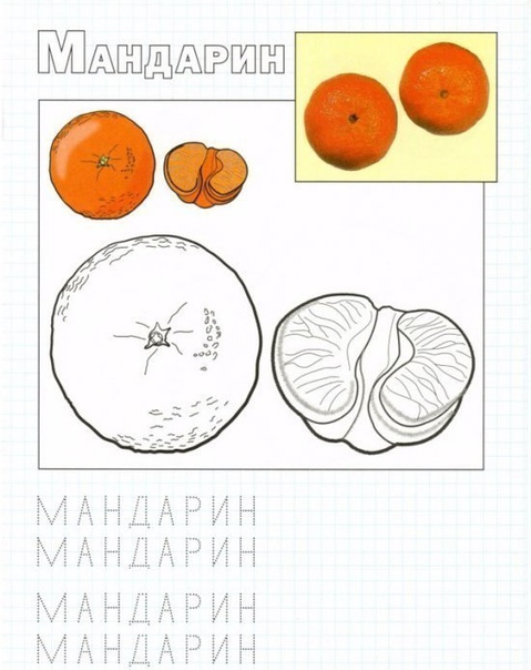 Учимся писать. фрукты.