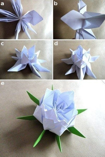 Цветы лотоса из бумаги Цветы лотоса из бумаги