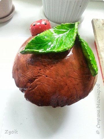 Грибы из гипса