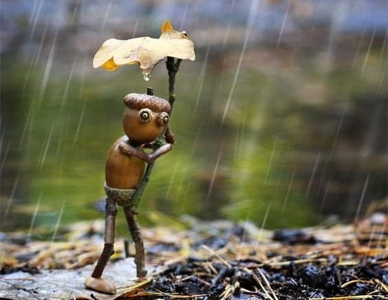 Поделки, идеи с жёлудями