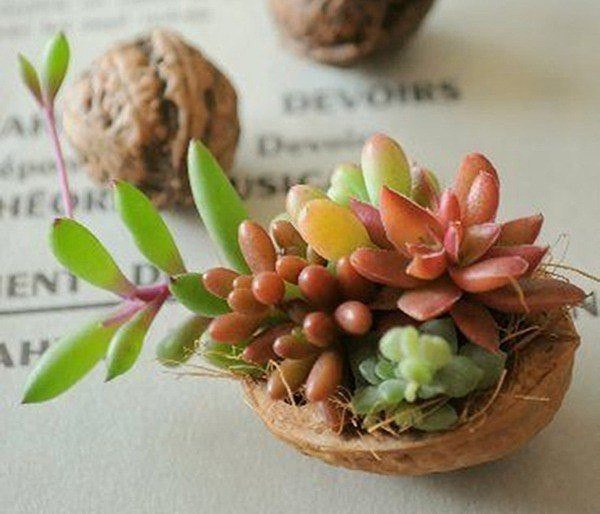 Мастерим с детьми из ореховой скорлупы. идеи для творчества