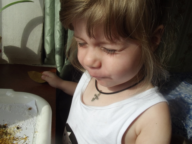 Игра  " Мир специй " 3 +