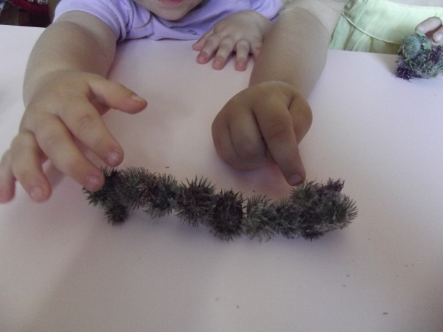 Природный конструктор !