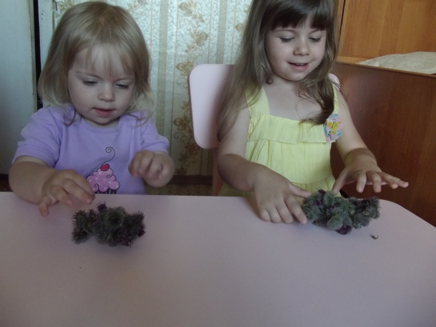 Природный конструктор !