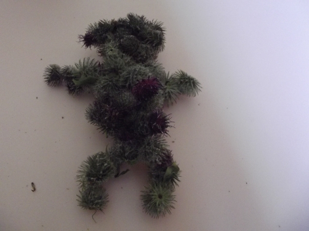 Природный конструктор !