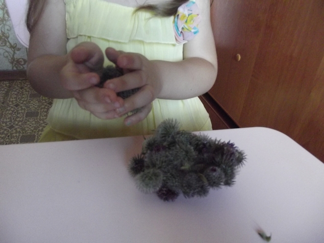 Природный конструктор !