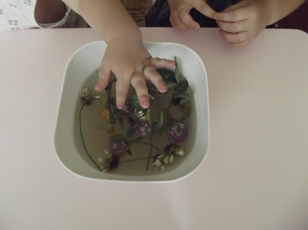 Цветы в желе ! Цветы в желе !