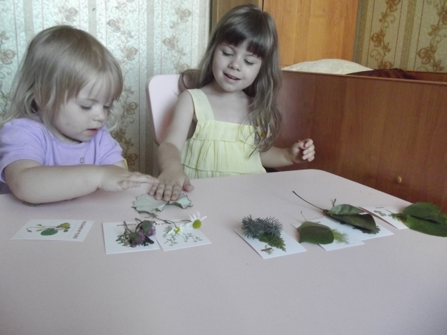 Изучаем деревья и цветы . Изучаем деревья и цветы .