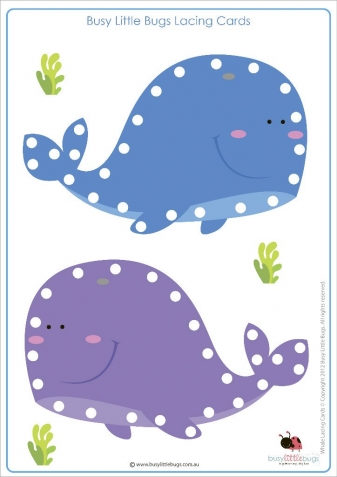 Цветные шнуровки ! Цветные шнуровки !