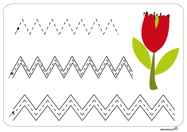 Готовим ручки к письму !