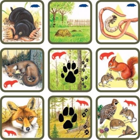 Игра " Где чей след и кто что ест ".