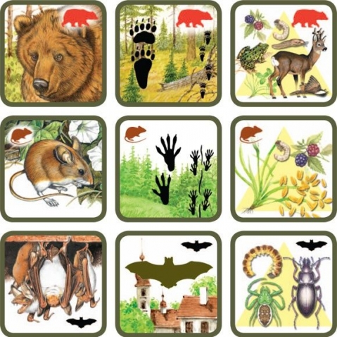 Игра " Где чей след и кто что ест ".