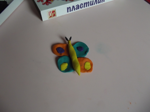 Как родилась бабочка !