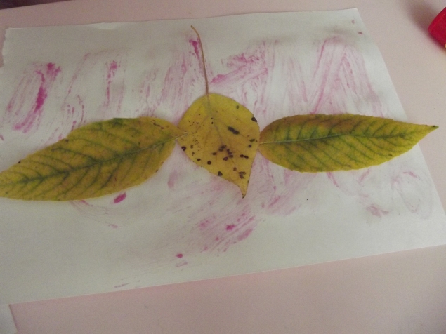 Аппликация из опавших листьев . Аппликация из опавших листьев .