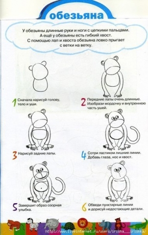 Рисуем животных . Рисуем животных .