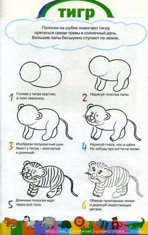 Рисуем животных . Рисуем животных .