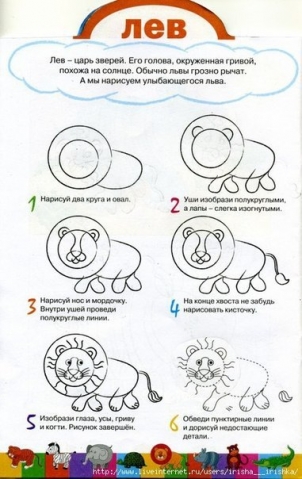 Рисуем животных . Рисуем животных .