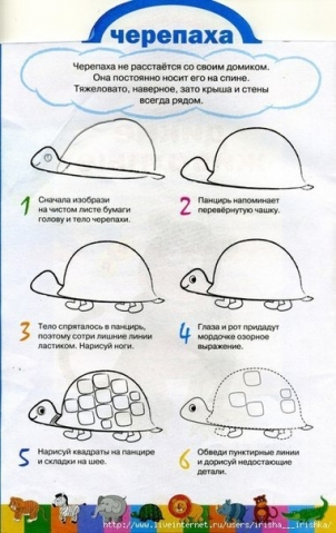 Рисуем животных . Рисуем животных .