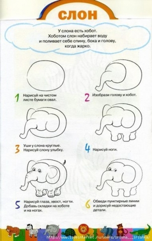 Рисуем животных . Рисуем животных .