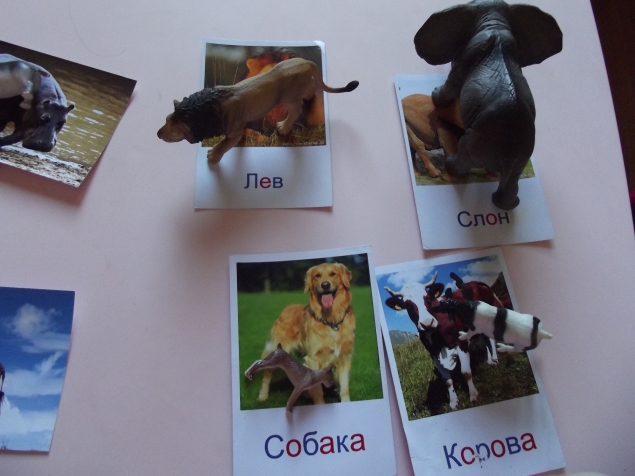 Игра с карточками . Игра с карточками .