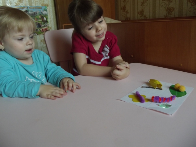 Как появляется бабочка .