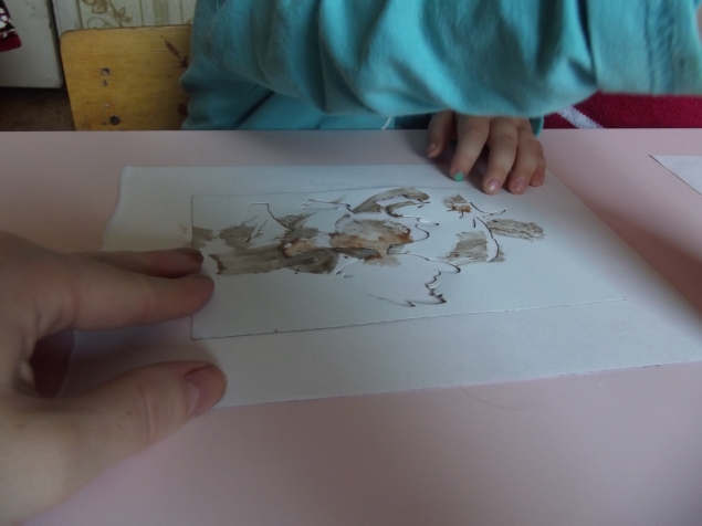 Шоколадные краски .