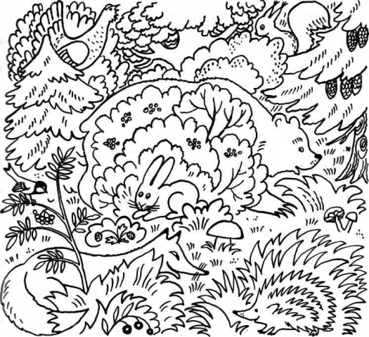 Развиваем внимание детей и родителей ! Развиваем внимание детей и родителей !