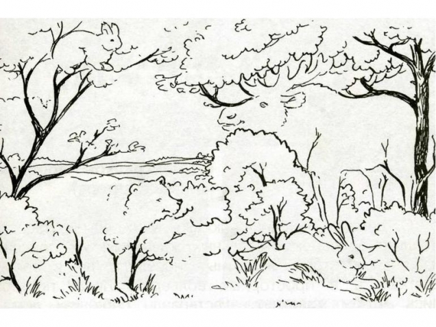 Развиваем внимание детей и родителей ! Развиваем внимание детей и родителей !