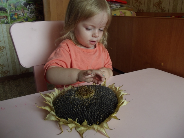 Монтессори - понедельник .День второй.