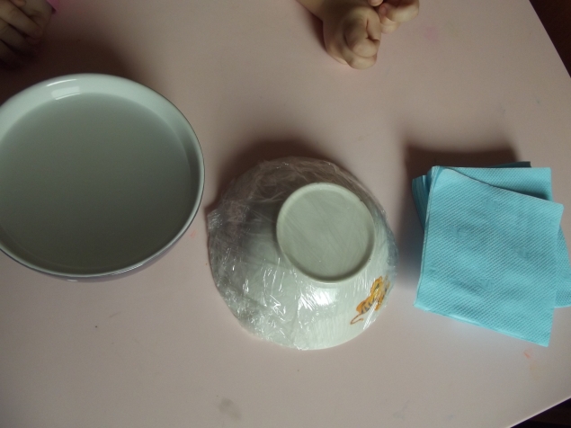 Тарелка из салфеток . Тарелка из салфеток .