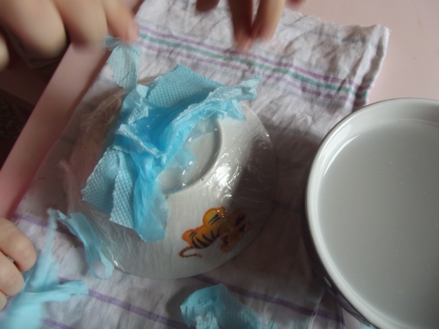 Тарелка из салфеток . Тарелка из салфеток .