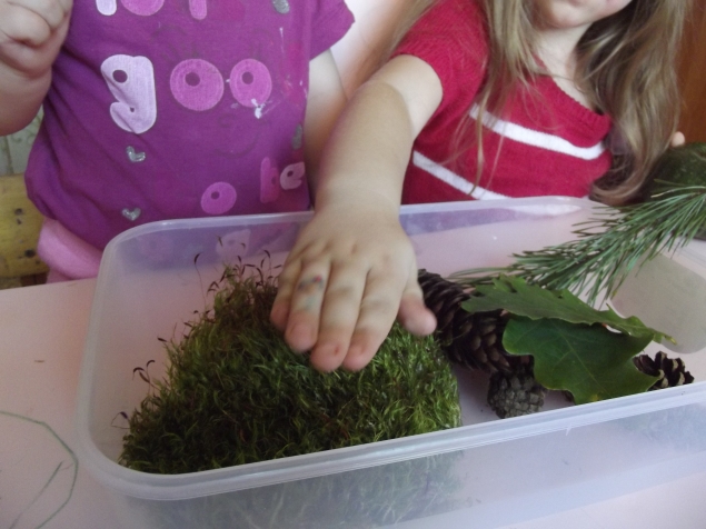 Дары природы ...