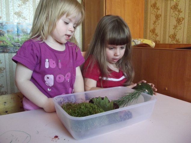 Дары природы ...