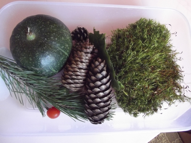 Дары природы ...