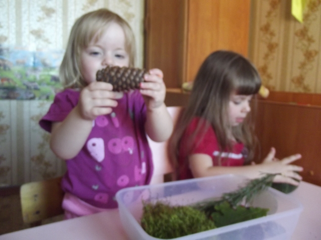 Дары природы ...