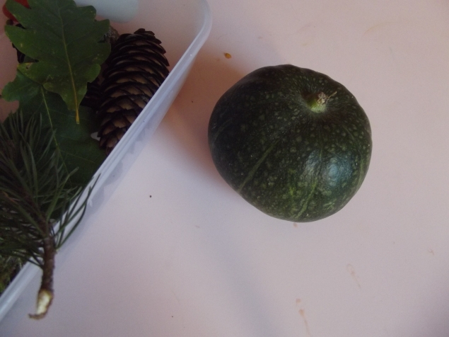 Дары природы ...