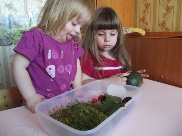 Дары природы ...