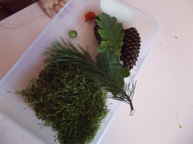 Дары природы ...