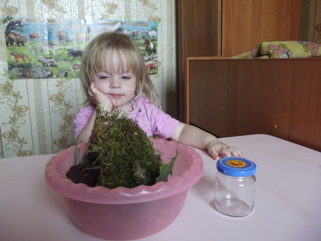 Флорариум .