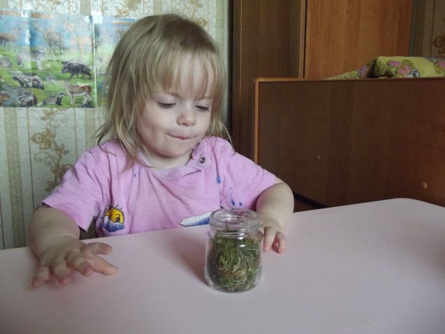 Флорариум .