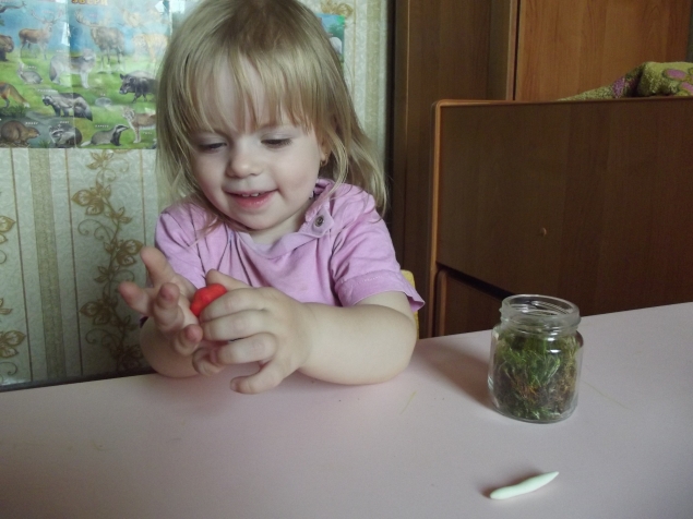 Флорариум .