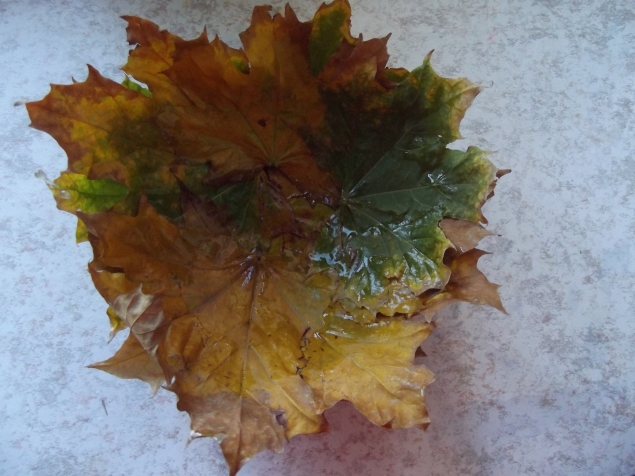 Тарелка из листьев . Тарелка из листьев .