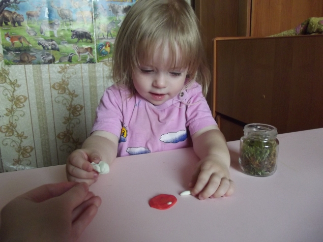 Флорариум .