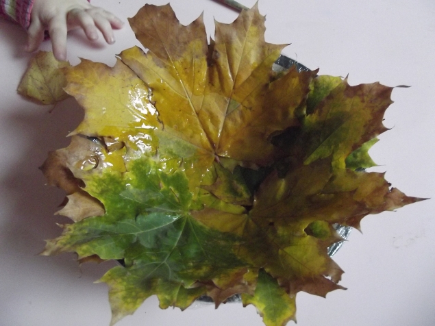 Тарелка из листьев . Тарелка из листьев .