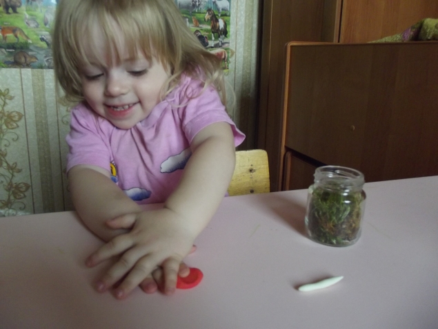 Флорариум .