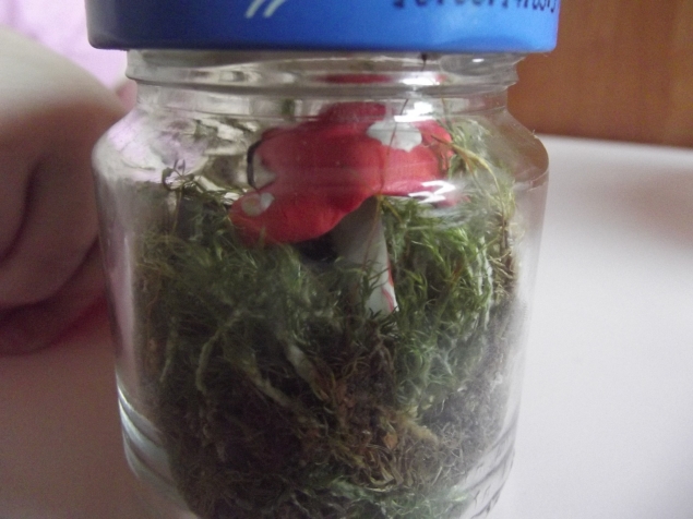 Флорариум .