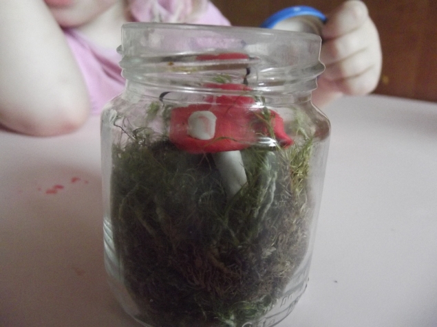 Флорариум .