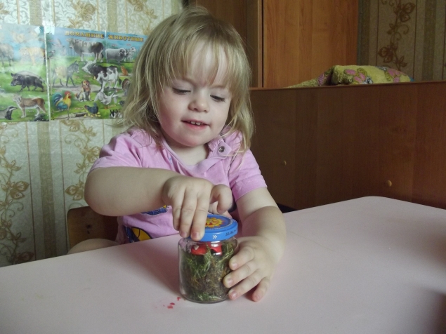 Флорариум .