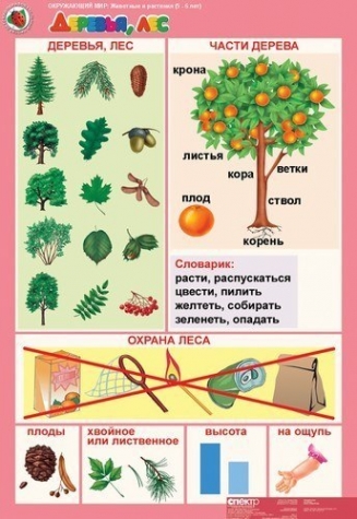 Растительный мир .