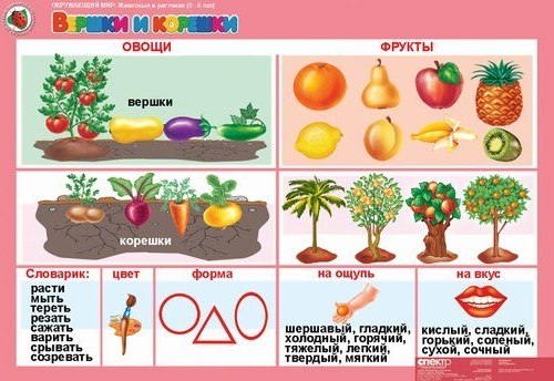 Растительный мир .